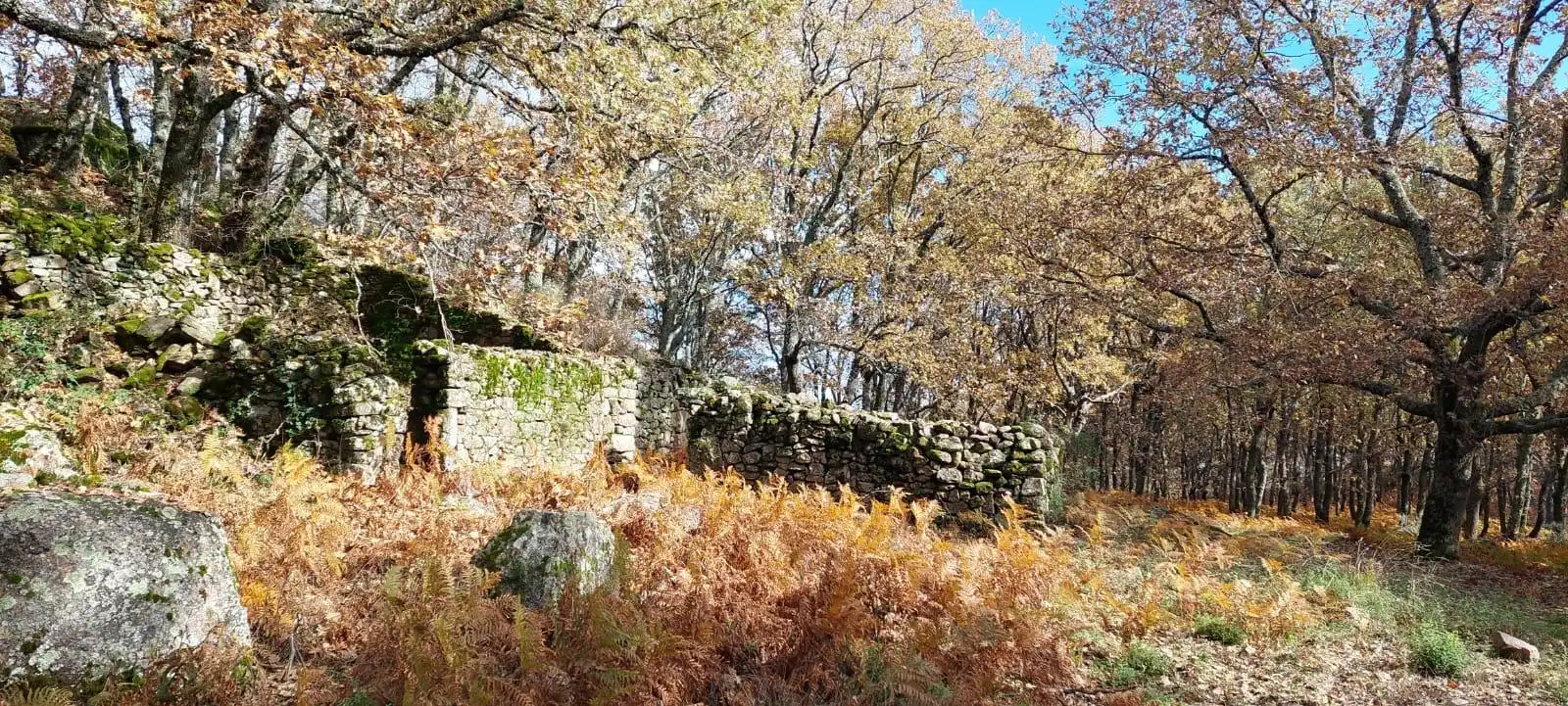 Terreni e lotti in vendita a Gata, imagen 17