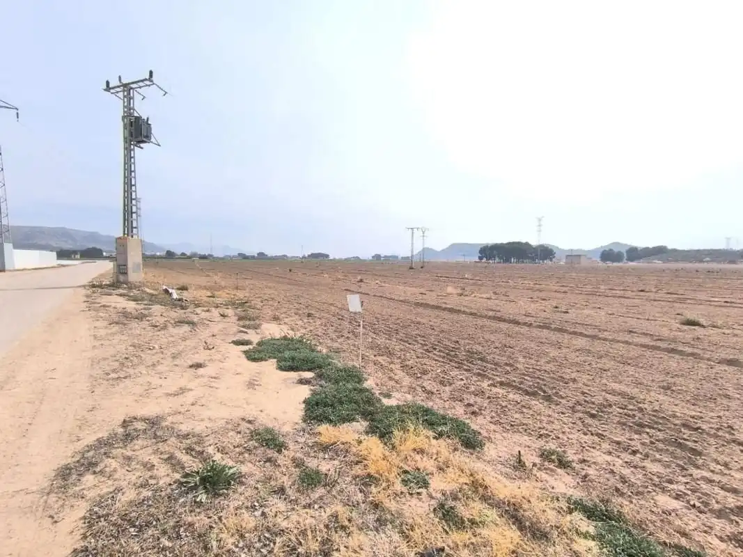 Residential land for sale in El Rabal, imagen 2