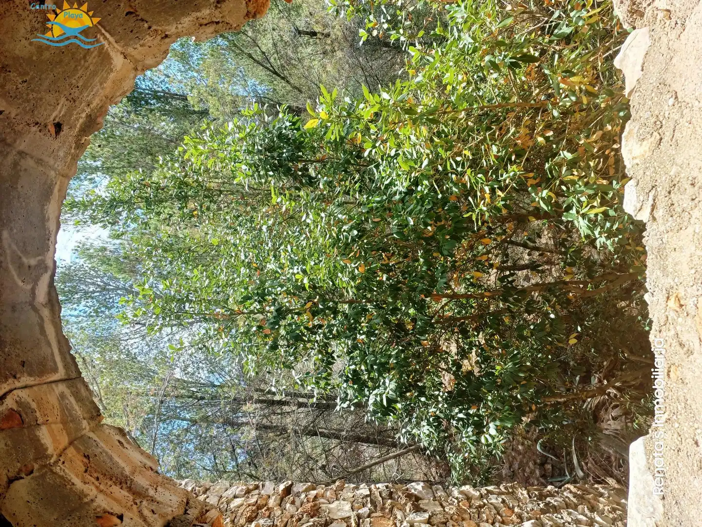 Finca rústica en venta en PEÑISCOLA, Las Atalayas - Urmi - Cerro de Mar
