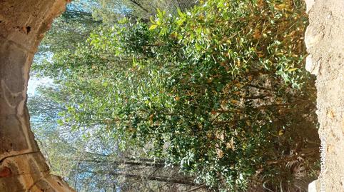 Foto 3 de Finca rústica en venda a Peñiscola, Las Atalayas - Urmi - Cerro de Mar, Castellón