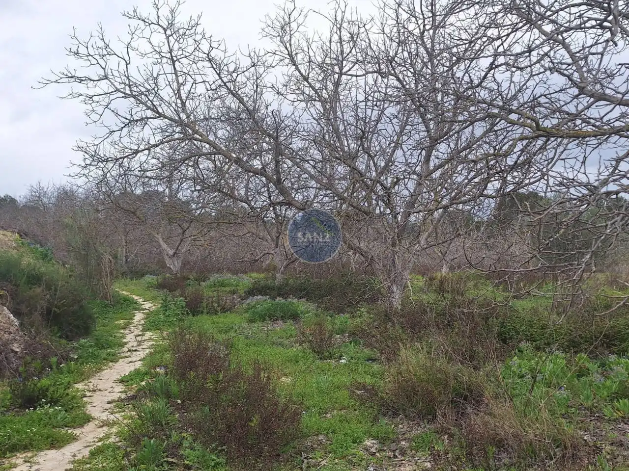 Terreny rústic en venda a Pda Barranc de l´Algar, imagen 8