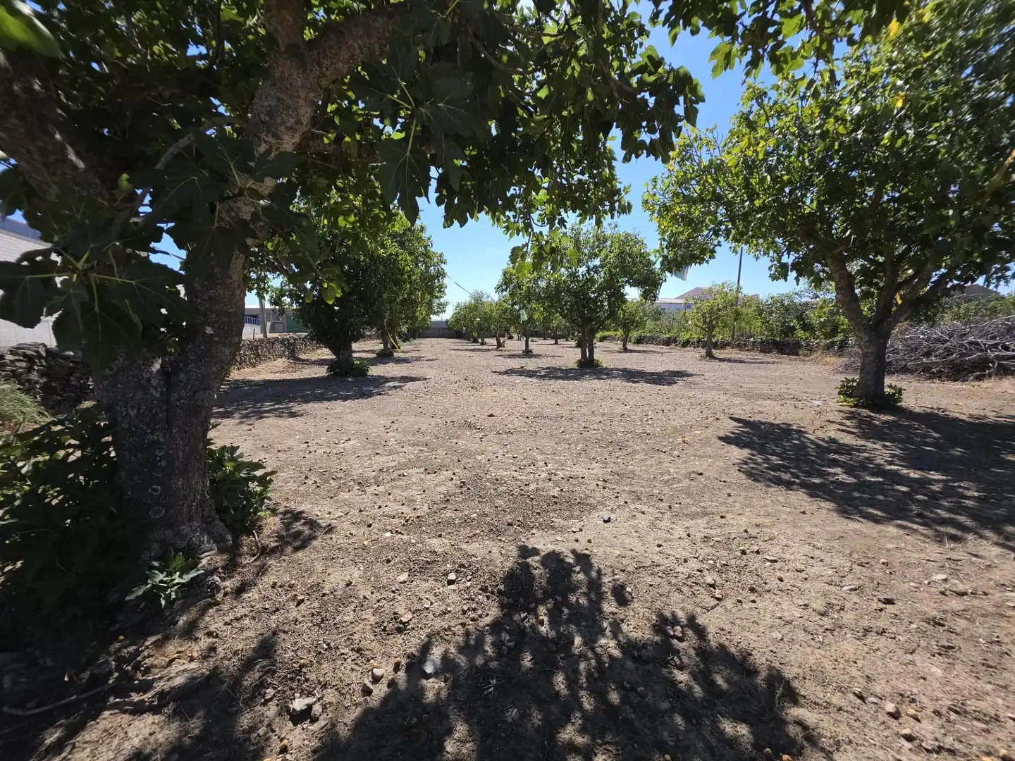 Terreny residencial en venda a Valdefuentes, imagen 7