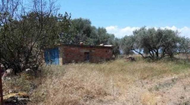 Terreno en Venta en Camí de la Ratlla d'Almassora, 124 en Ciutat del Transport - La Salera