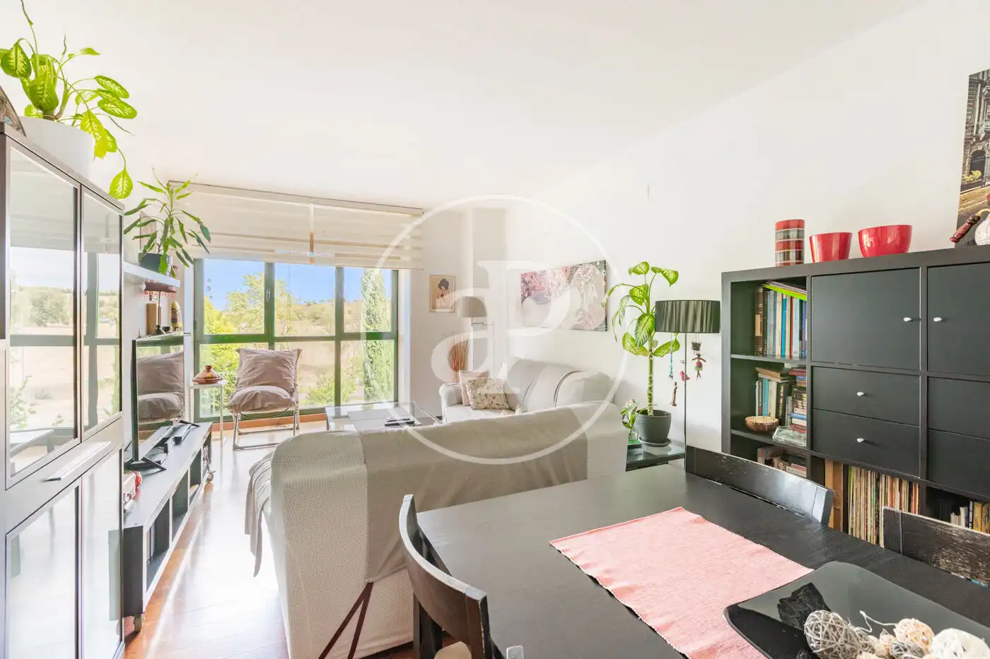 Piso con piscina en venta en C. Alcalde Henche de la Plata, imagen 4