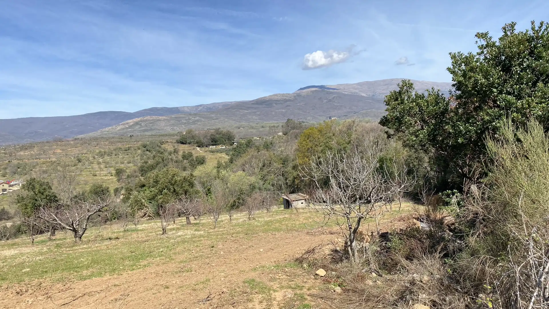 Terreni e lotti in vendita a Jaraíz de la Vera, imagen 5
