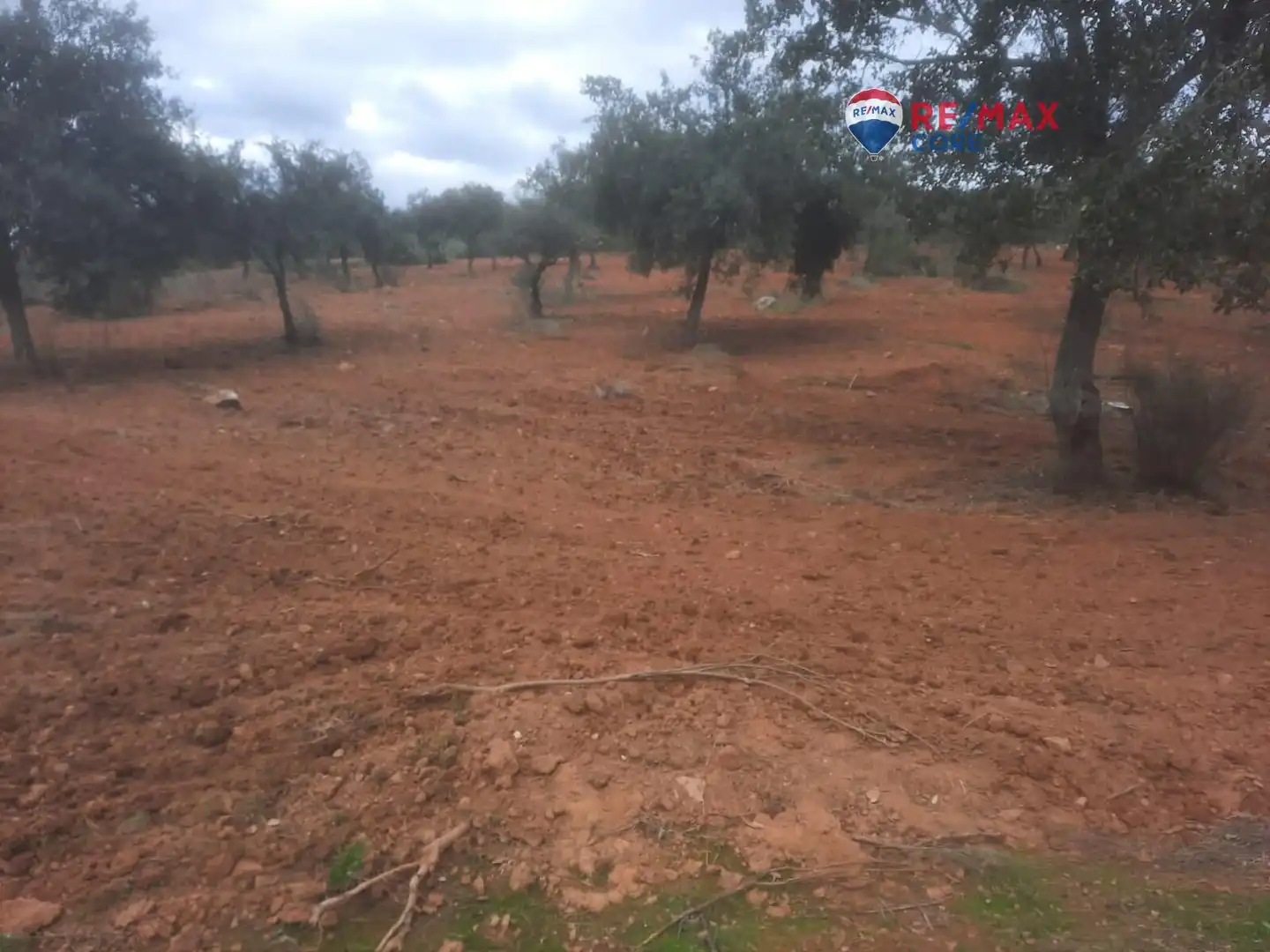 Terreni e lotti in vendita a Alburquerque, imagen 49