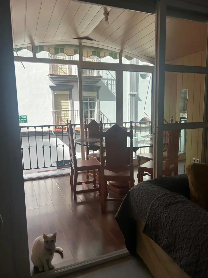 Apartamento en venta en Centro ciudad, imagen 10