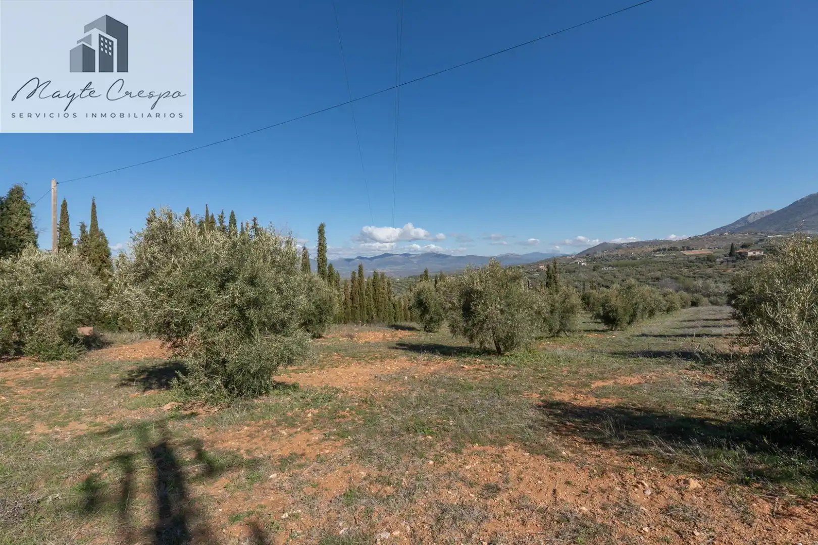 Terreni e lotti in vendita a Cogollos de la Vega, imagen 5