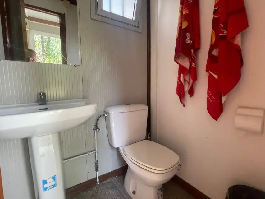 Baño de Casa o chalet en venta en Pelayos de la Presa con Jardín privado