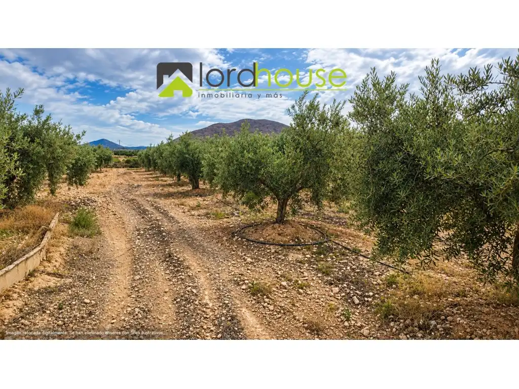Casa o xalet en venda en Lorca