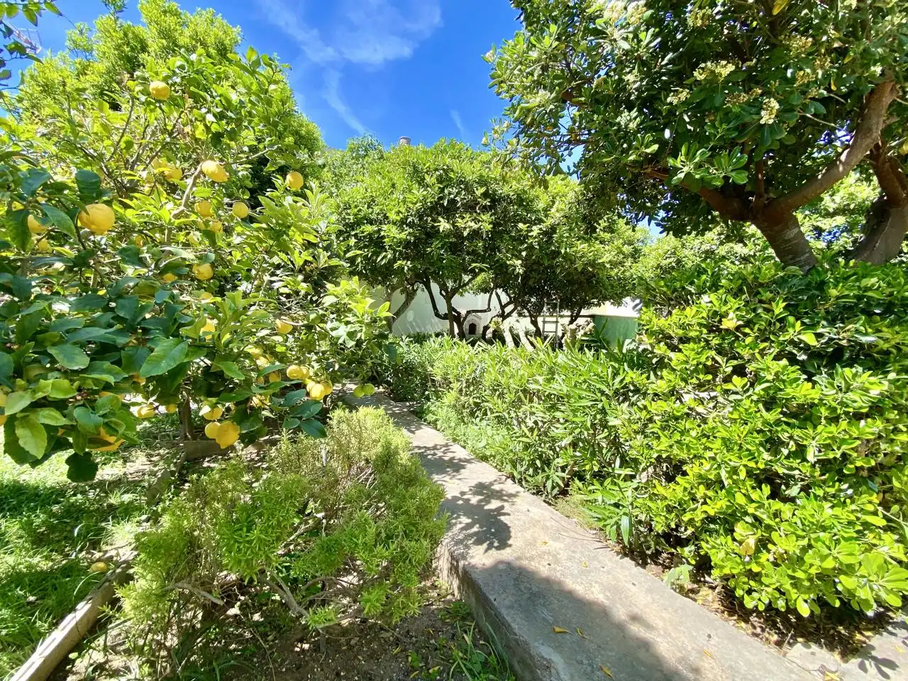 Garten von Haus oder Chalet zum Verkauf in  Palma de Mallorca mit Privatgarten, Terrasse und Abstellraum