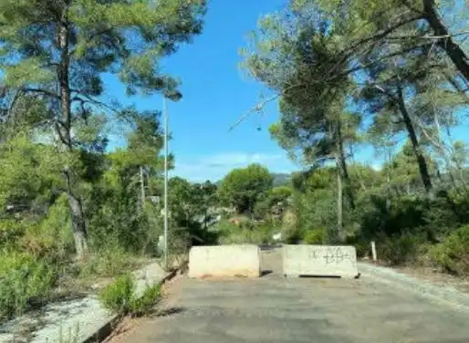 Terreny rústic en venda a RAMON MARTI ALSINA, imagen 6