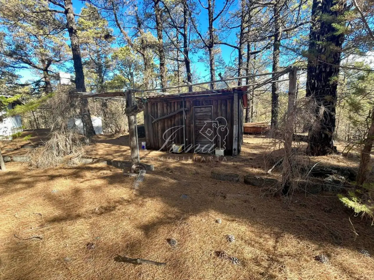 Houses for sale in El Paso  with Private garden
