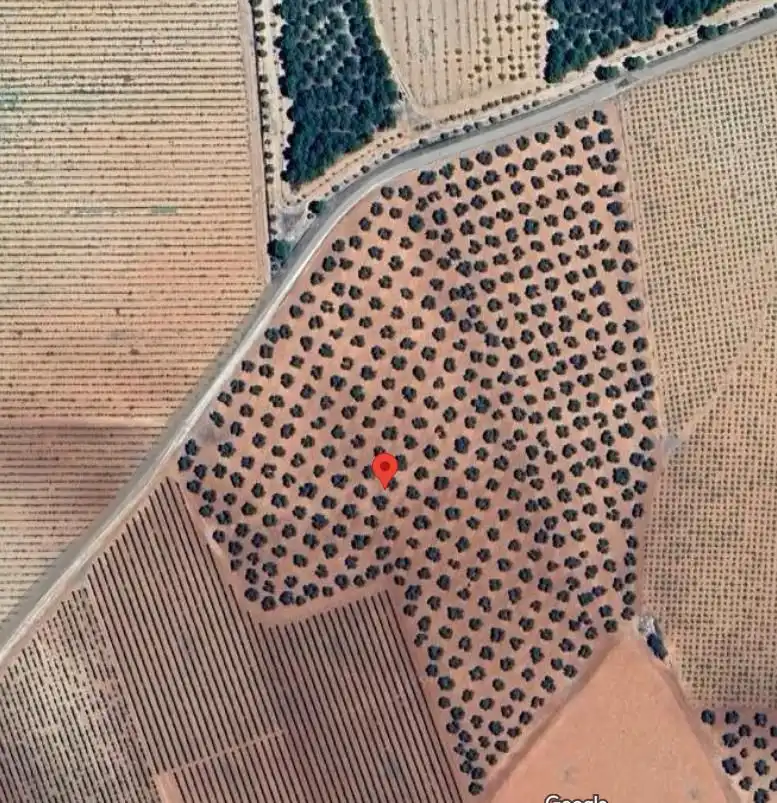 Casa rústica en venda a Valdepeñas, imagen 5