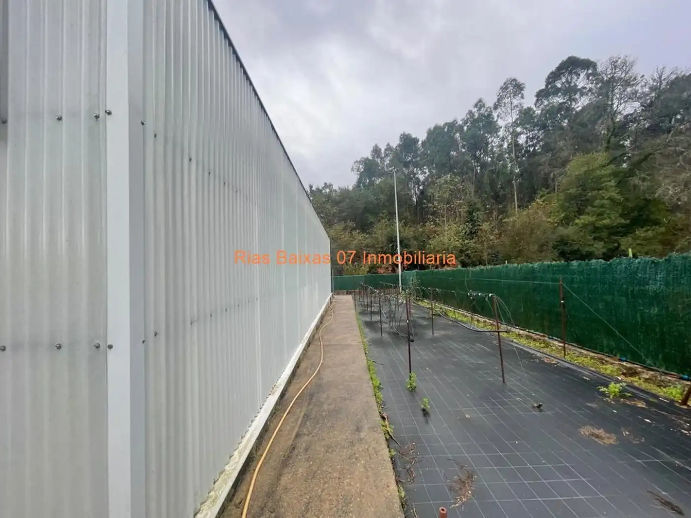 Lands and plots for sale in Salceda de Caselas, imagen 9