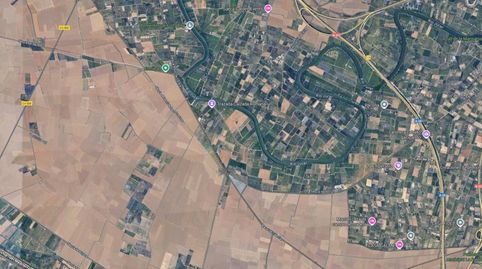 Se vende excelente finca rústica de 20 hanegadas, situada en el término municipal de Fortaleny Valencia. El terreno se encuentra p, imatge 5