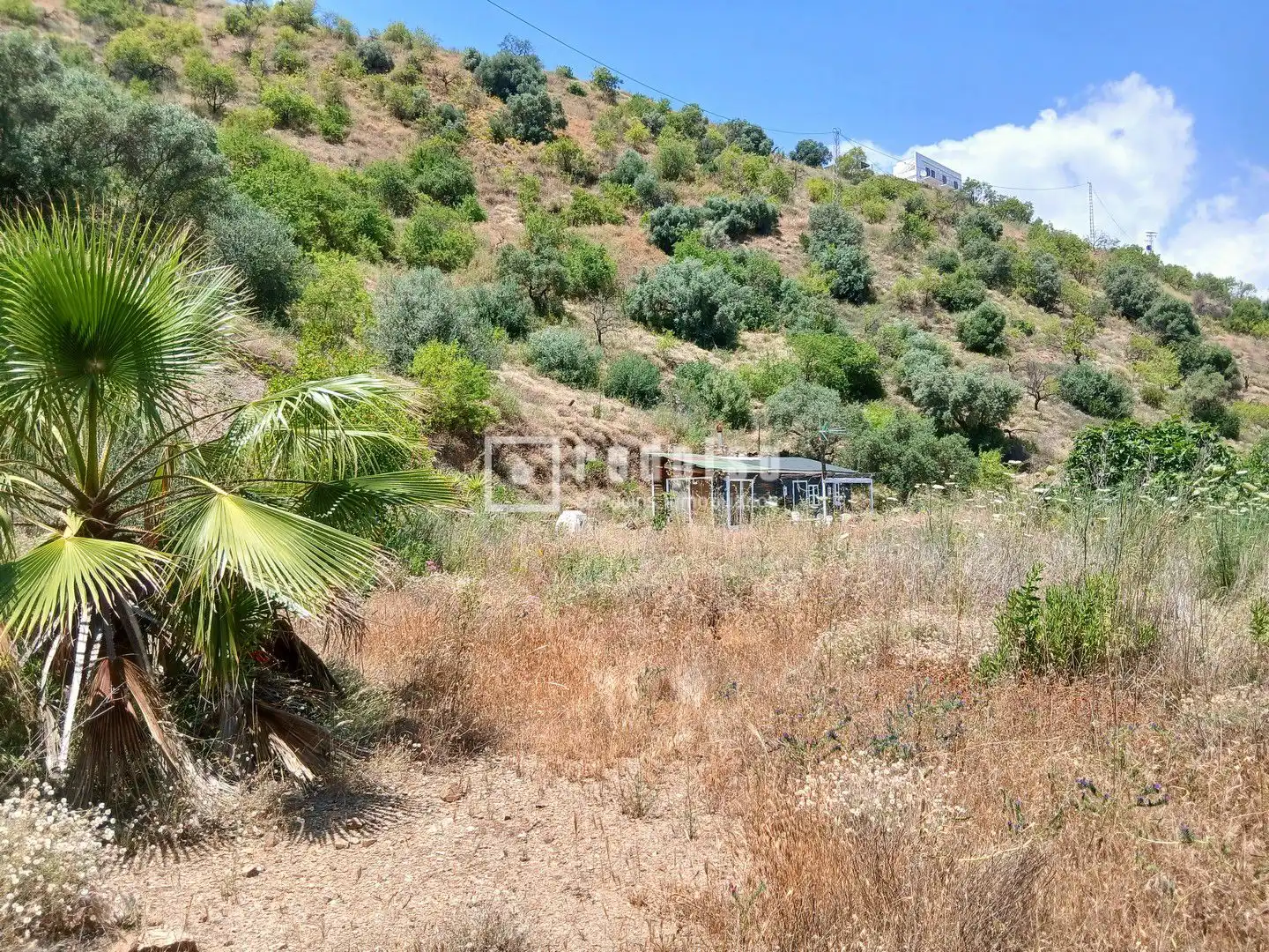 Terreno residencial en venta en Diseminado, imagen 16