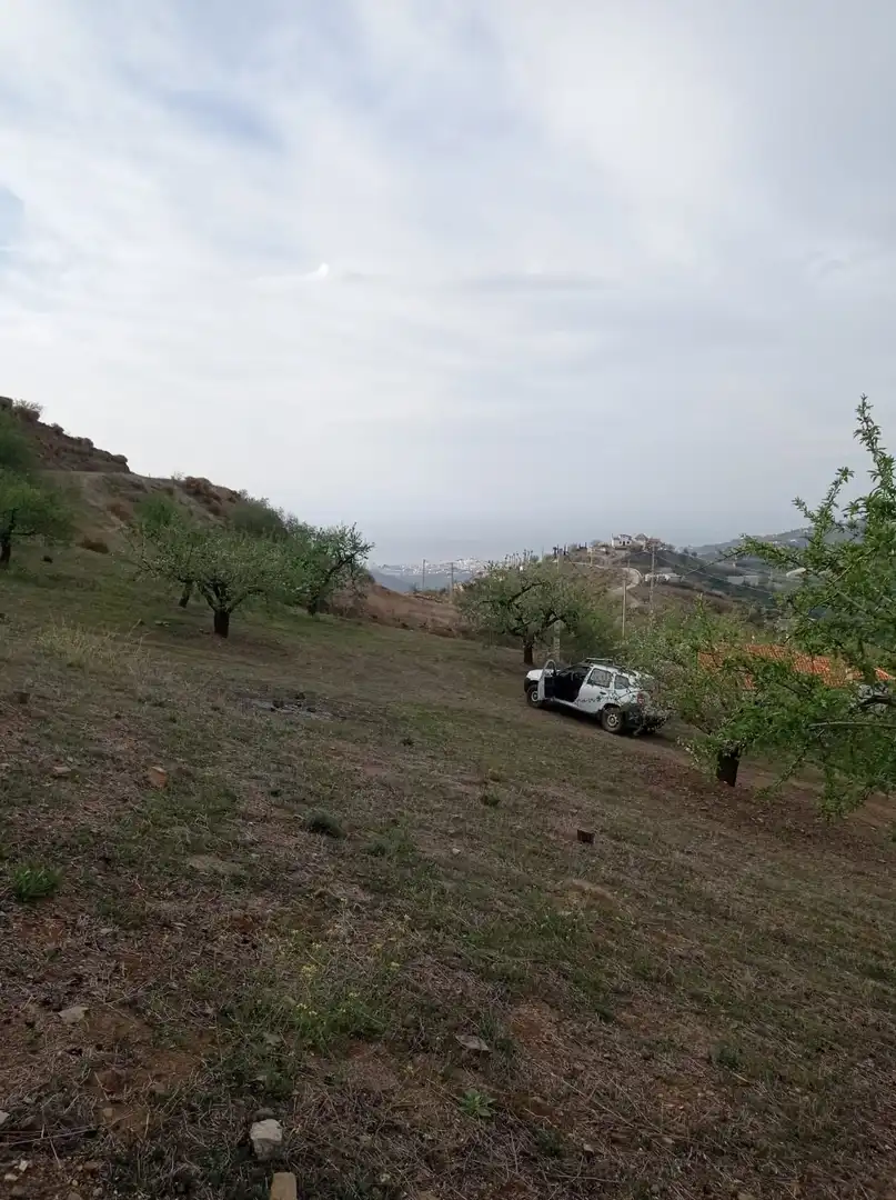 Terreni e lotti in vendita a Jete, imagen 5