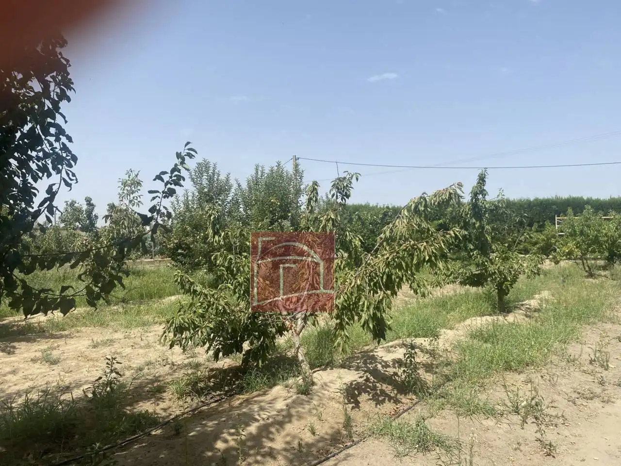 Terreni e lotti in vendita a Villanueva de la Serena, imagen 5