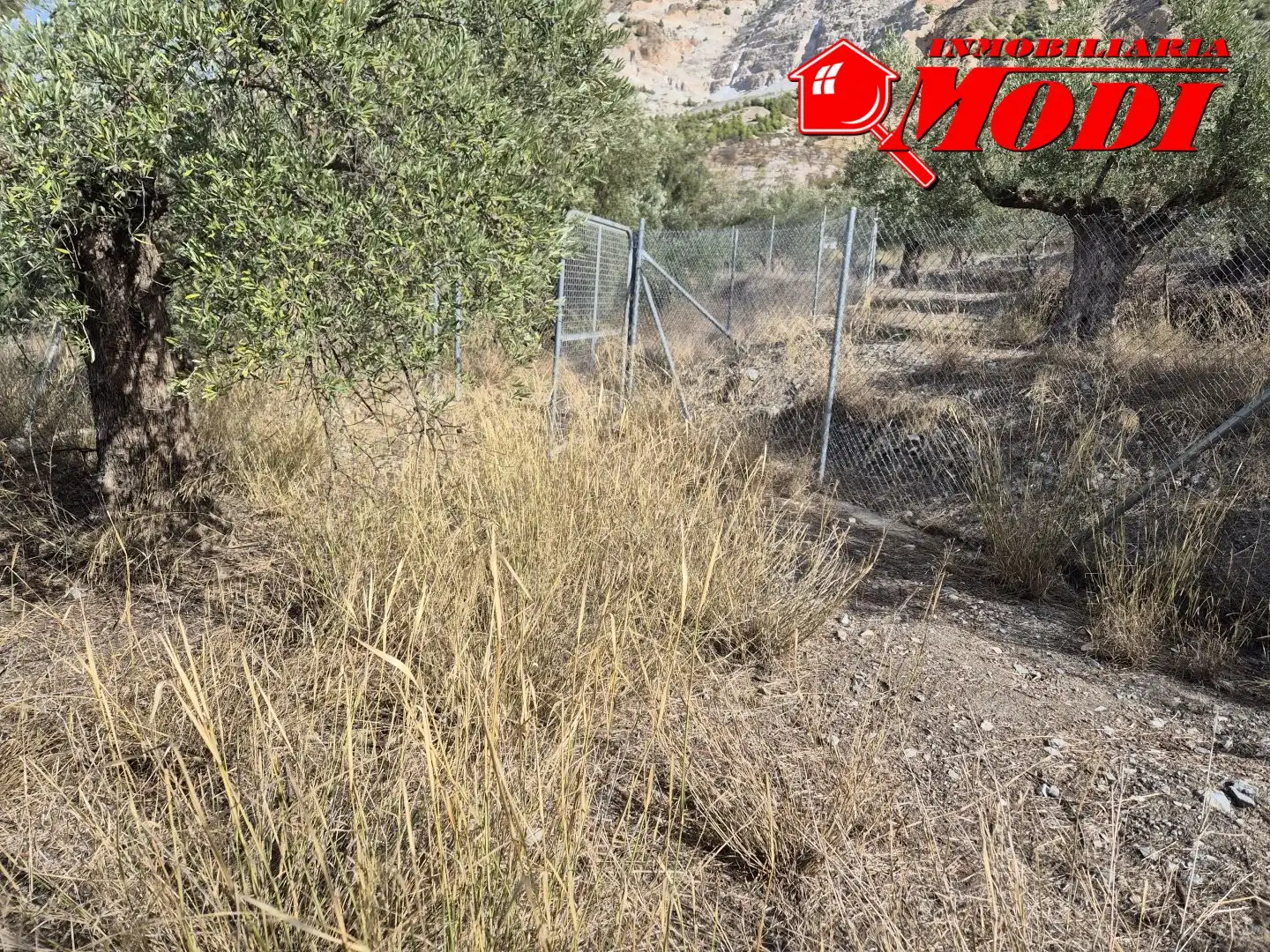 Lands and plots for sale in Dúrcal, imagen 6