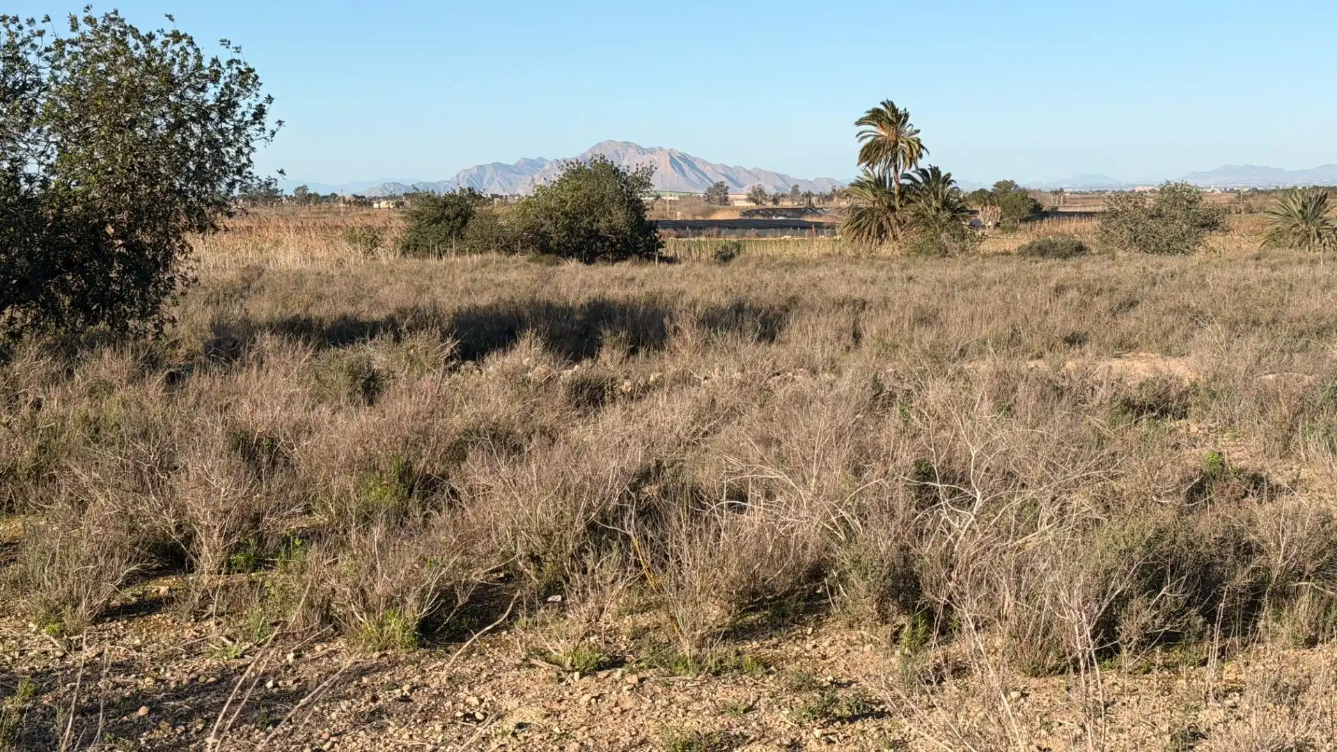 Terreno residencial en venta en La Marina, imagen 47