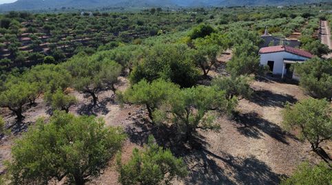 Foto 3 de Finca rústica en venda a L'Ampolla, Tarragona