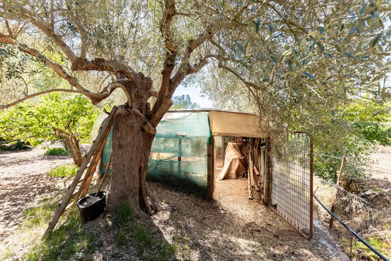 Casa rustica con piscina in vendita a Esporles, imagen 34