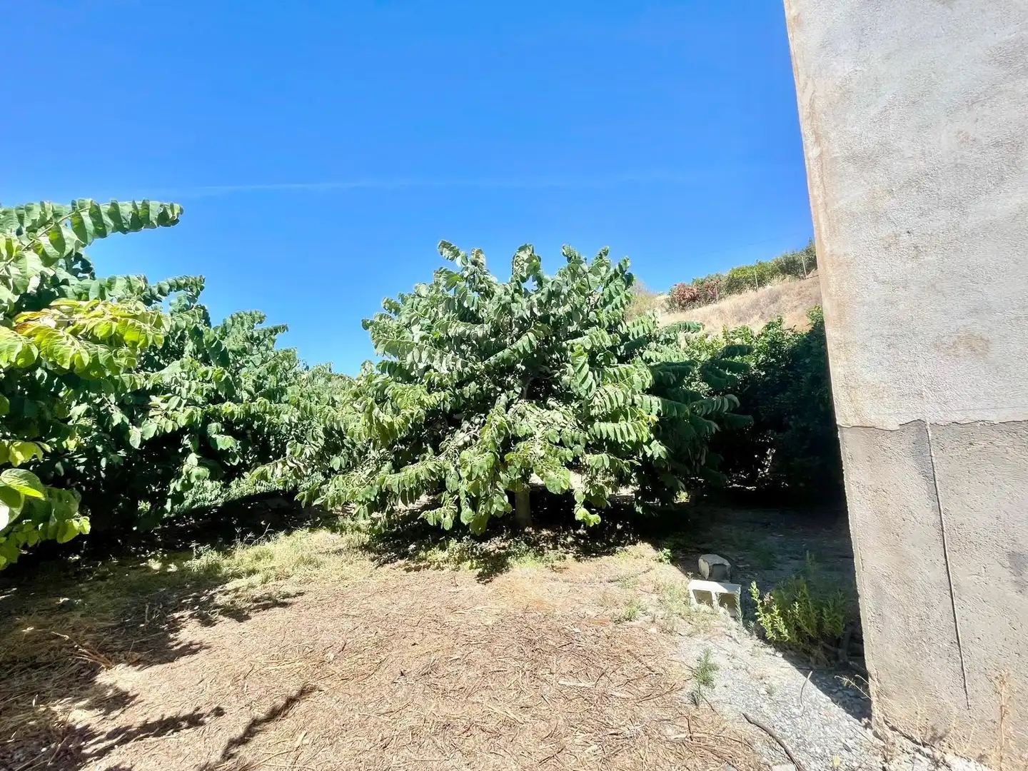 Landhaus mit Pool zum Verkauf in Molvízar, imagen 15