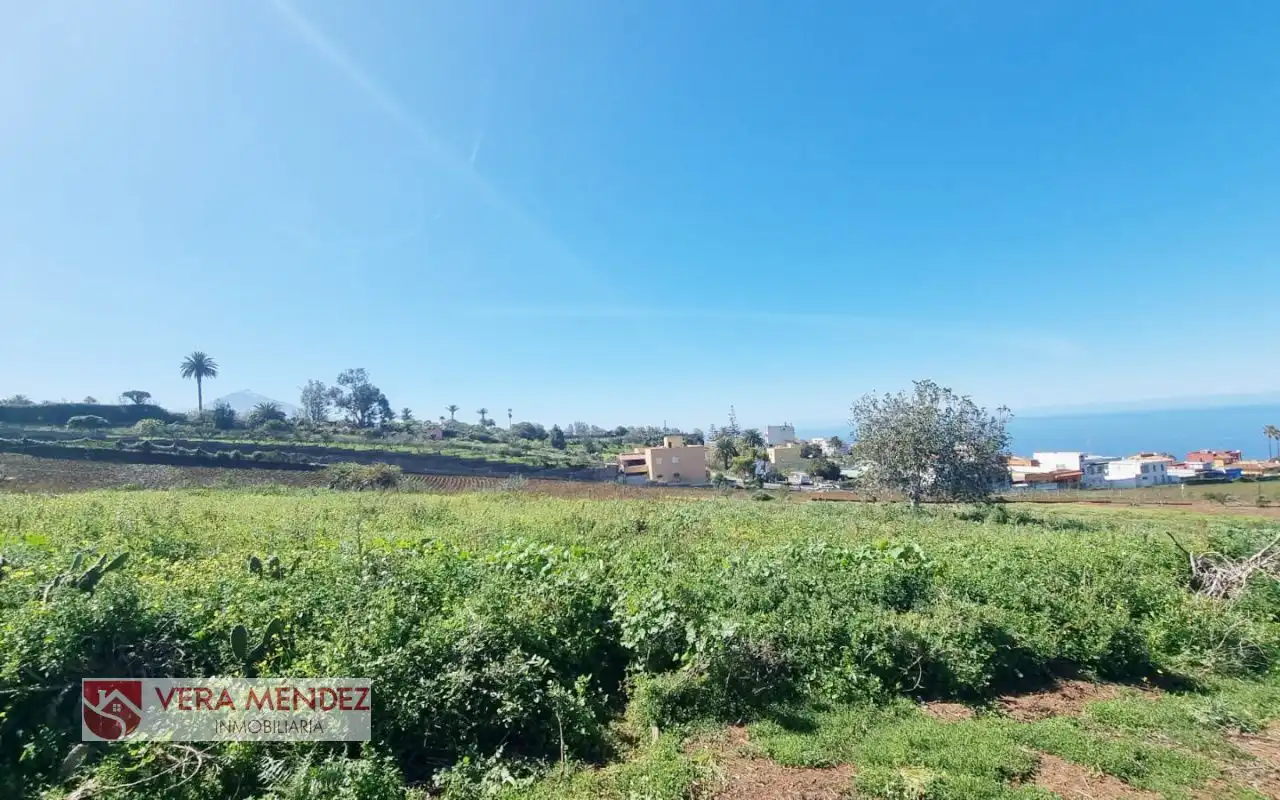 Finca rústica en venta en Tacoronte
