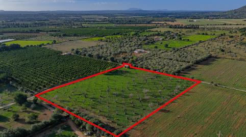 Foto 3 de Residencial en venta en Búger, Illes Balears