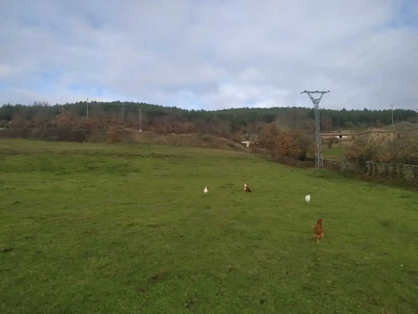 Land for sale in Valderredible
