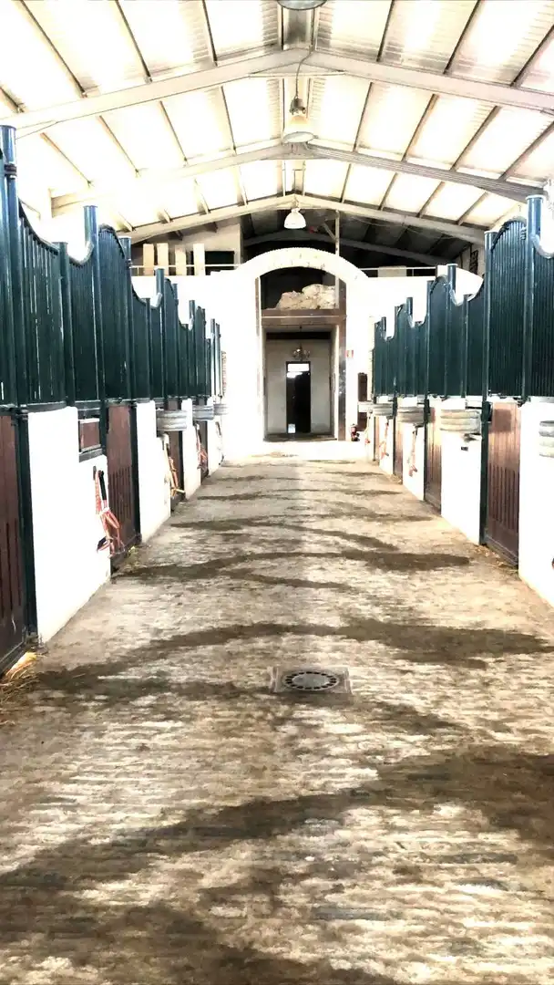 Casa rústica con terraza en venta en Partidas de Alicante, imagen 20