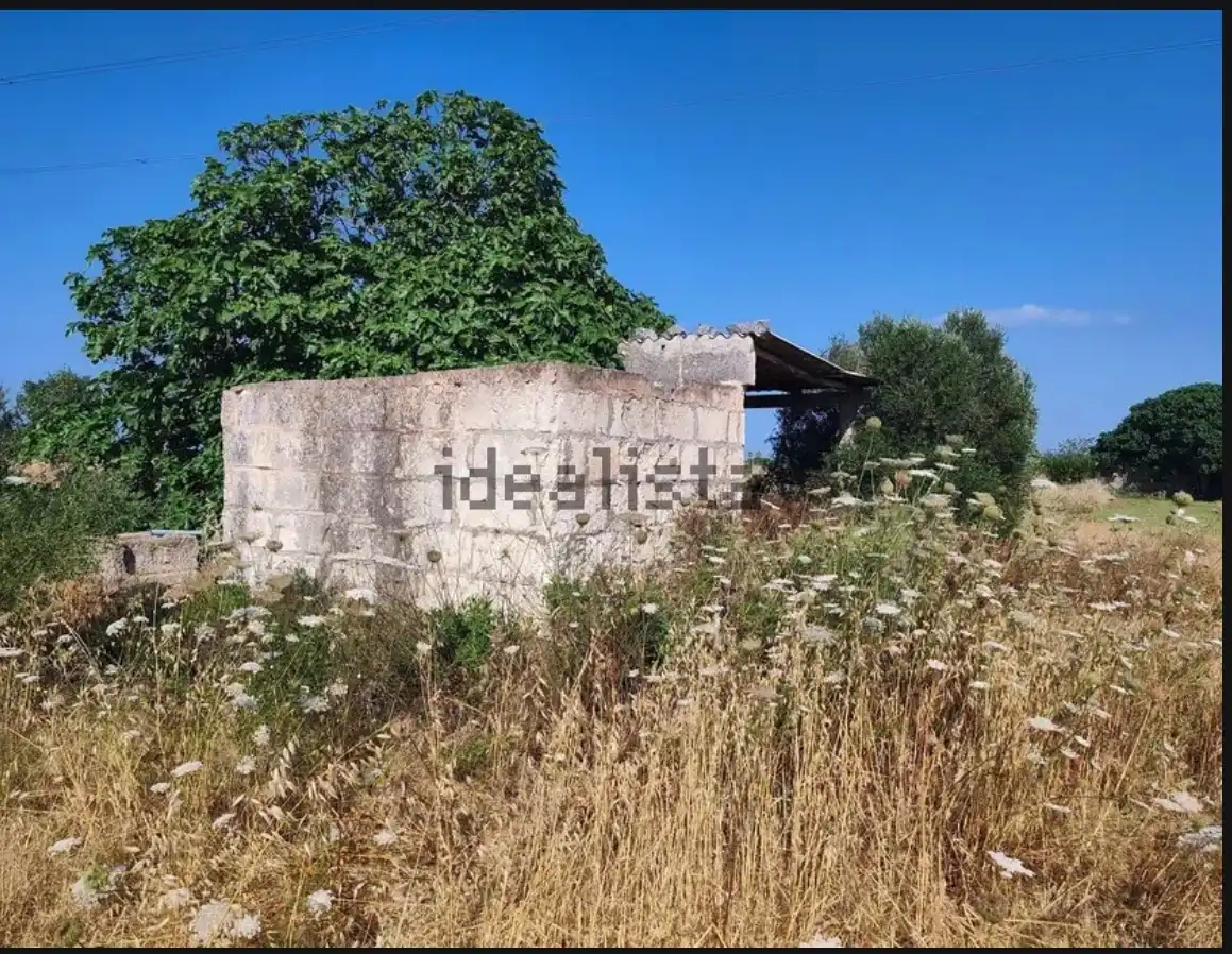 Terreno rustico in vendita a Cami de Son Mieres, imagen 8