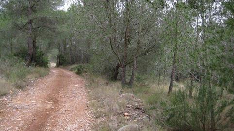 Photo 2 of Residential for sale in Polígono 9 Barranc Negre, 130, Oropesa, Toledo