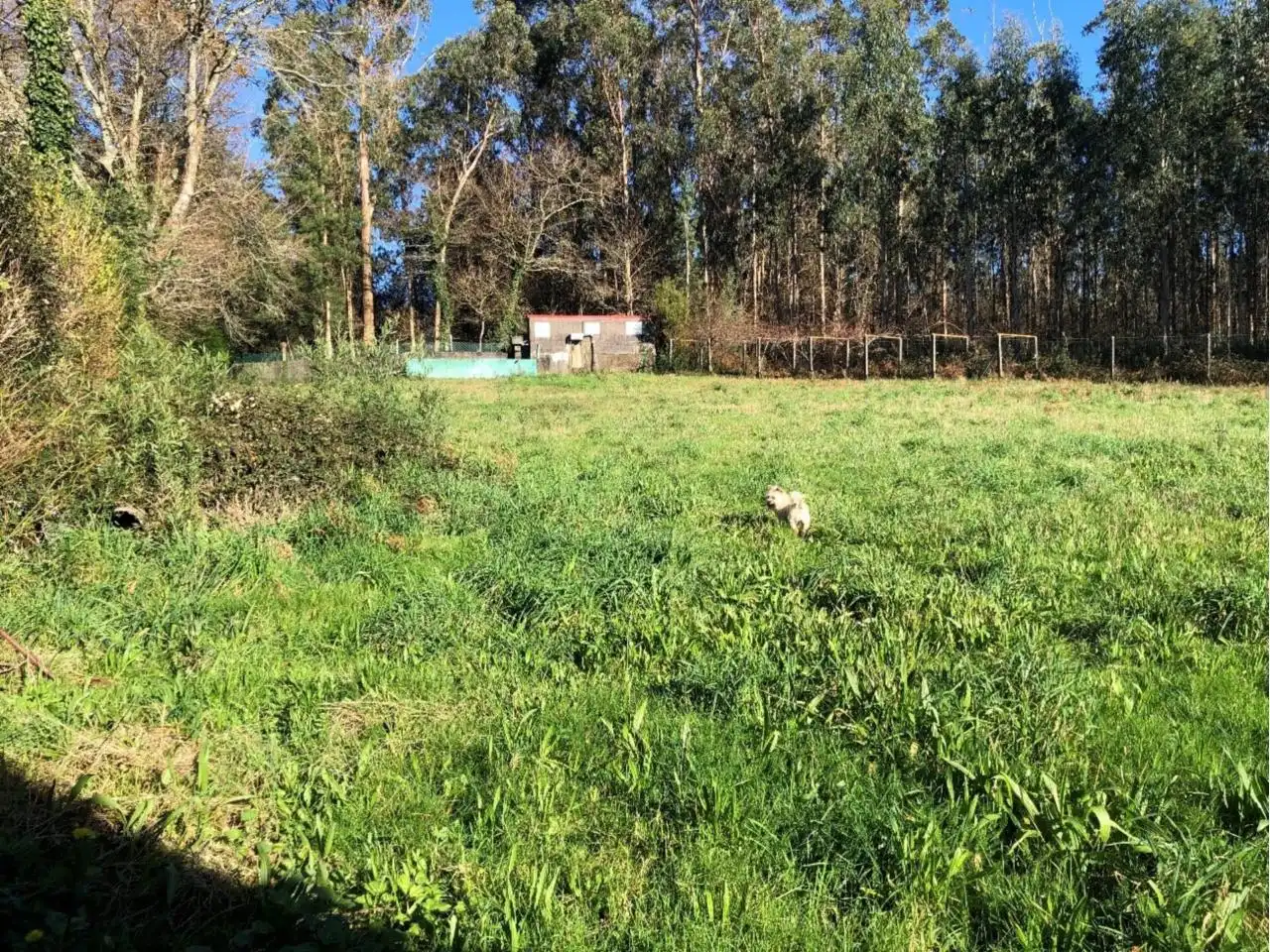 Casa amb jardí en venda a Val do Dubra, imagen 3