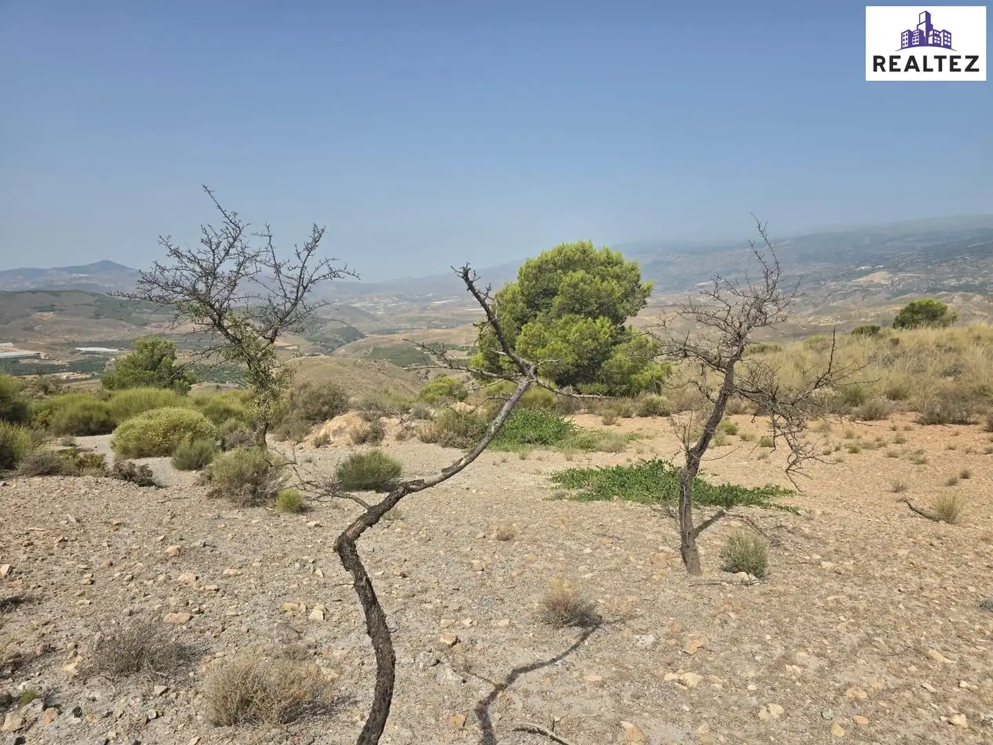 Terrain rustique à vendre à Alcolea, imagen 12