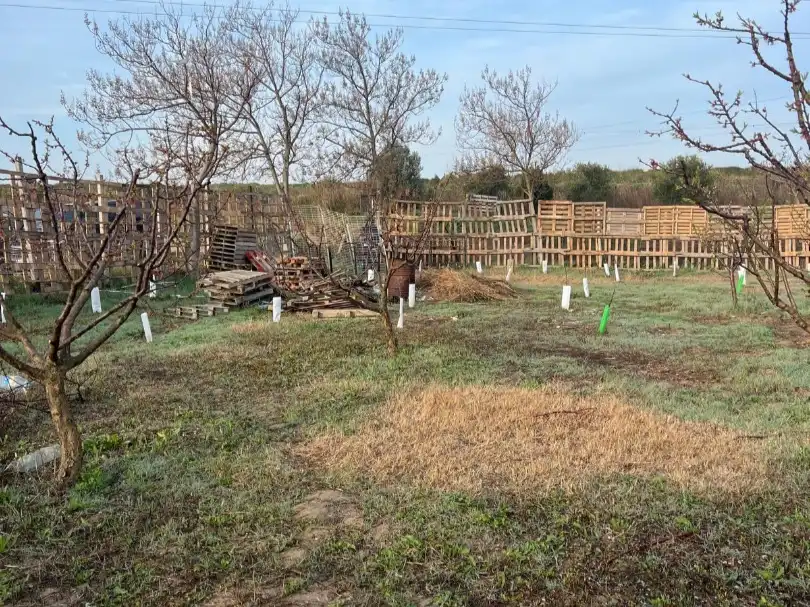Terreno en venta en Figueruelas