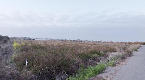 Photo 4 of Land for sale in De la Reyerta, Chipiona Norte, Chipiona