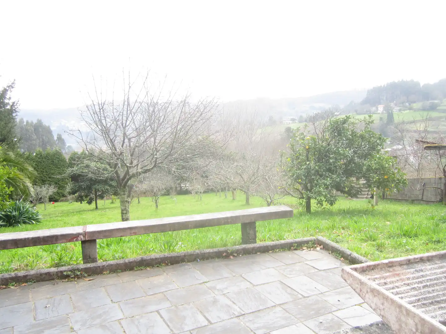 Terreno residencial en venta en Neda, imagen 4