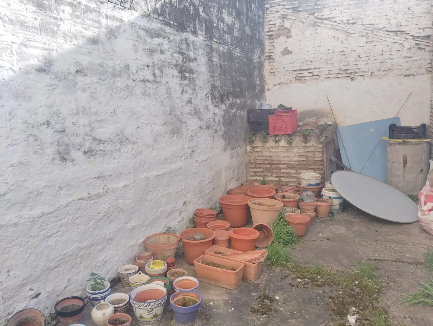 Casa con giardino in vendita a Brenes, imagen 18