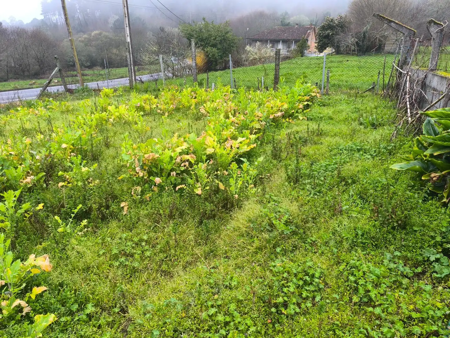 Casa amb jardí en venda a Gomesende, imagen 22