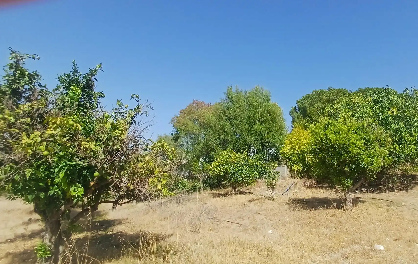 Casa rústica en venda a Los Garciagos, Polígono 119, Parcela 100, imagen 21