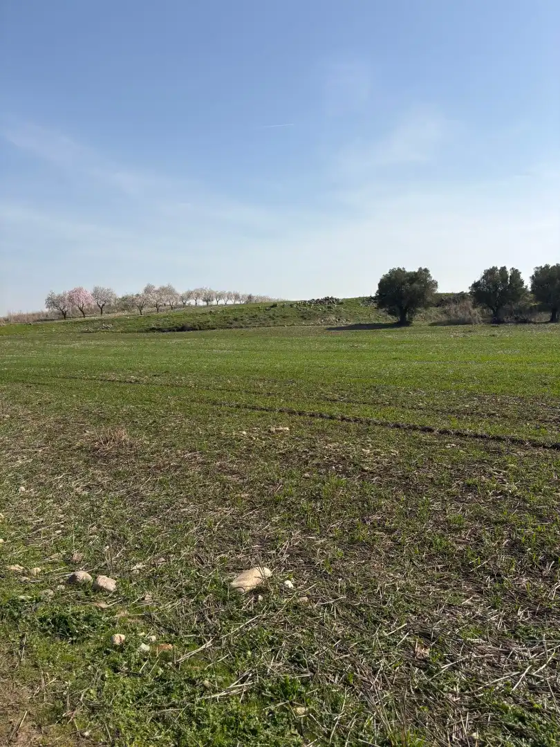 Rustikales Grundstück zum Verkauf in Agoncillo, imagen 2
