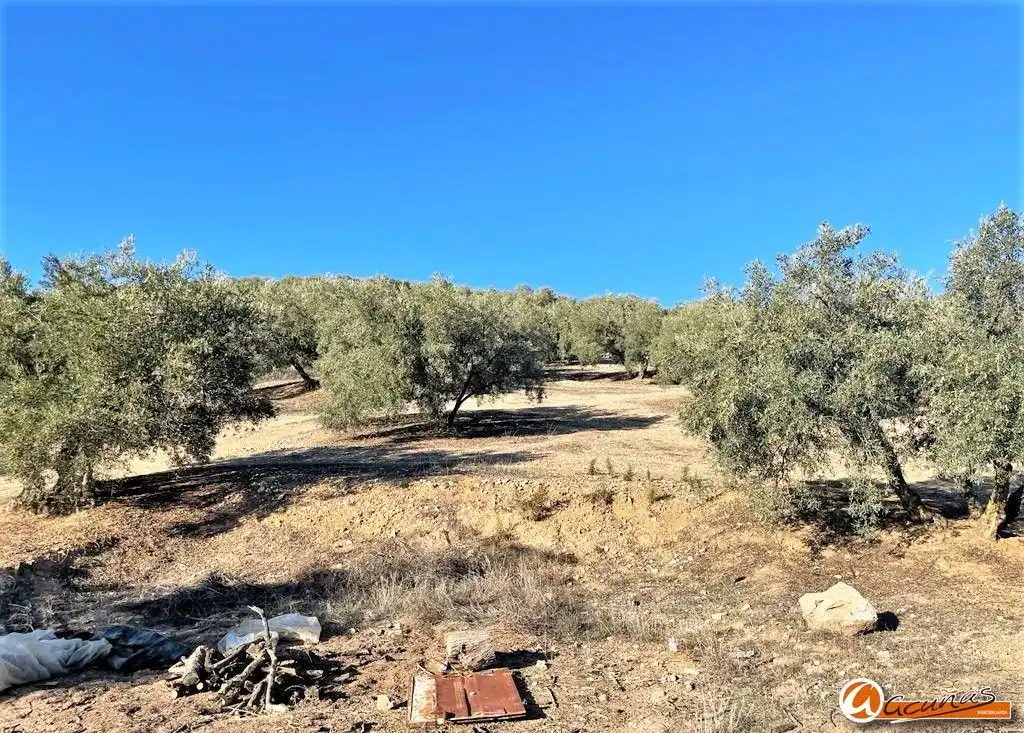 Land for sale in Villanueva del Rosario