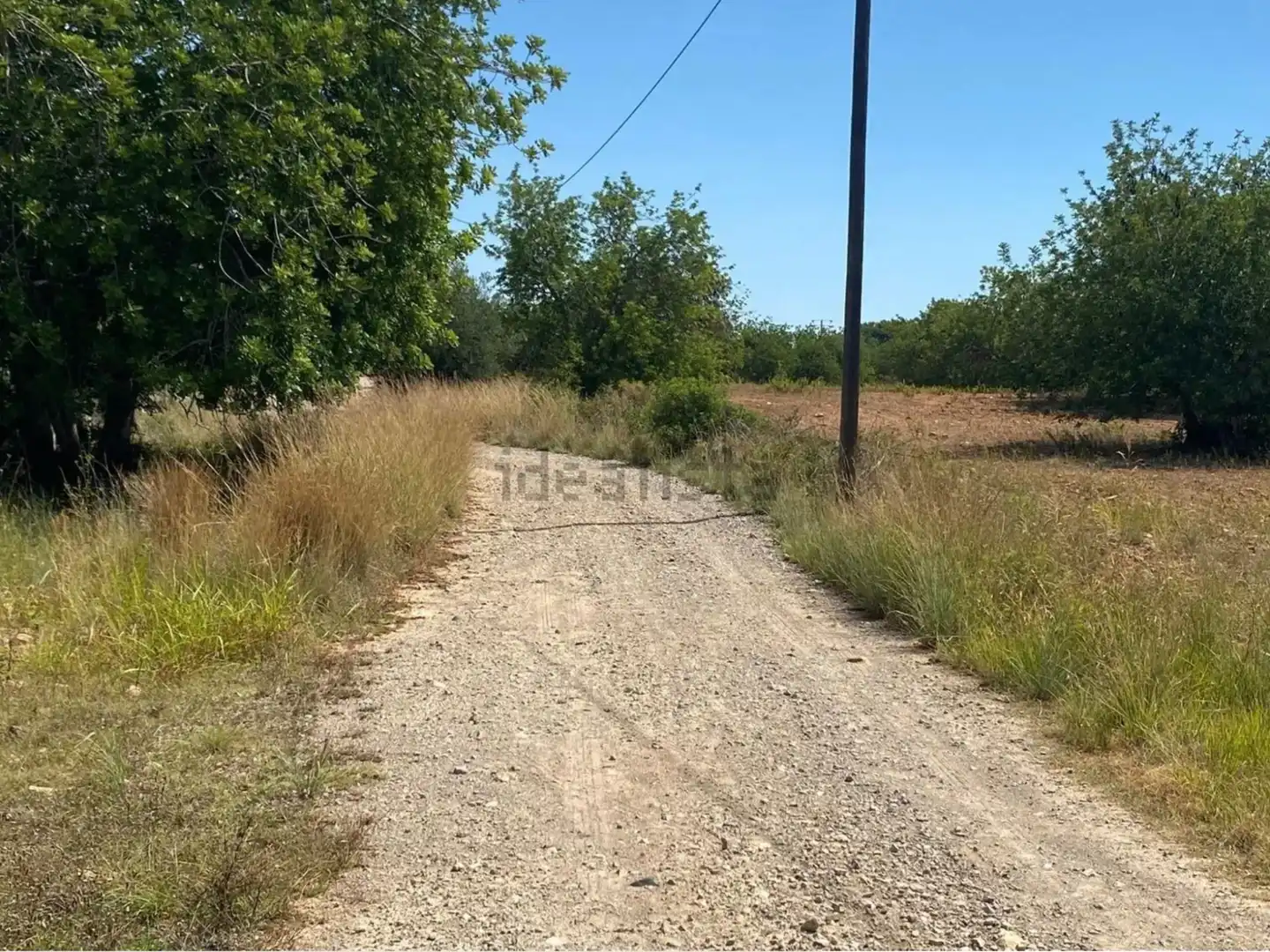 Rural land for sale in Extrarradio Diseminado 1, imagen 7