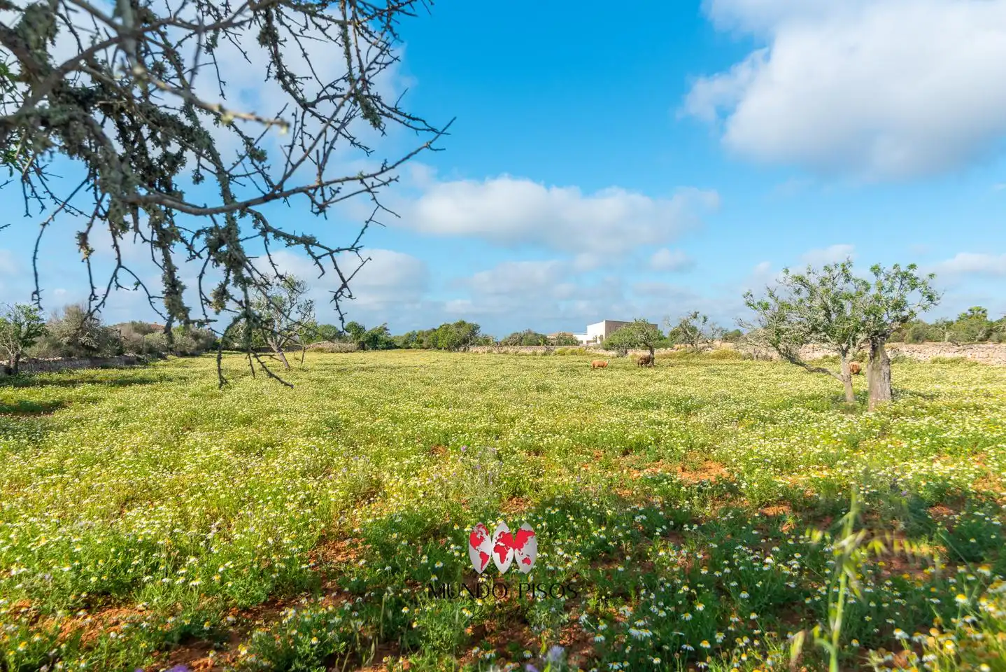 Country house with garden for sale in Cala Llombards, imagen 36