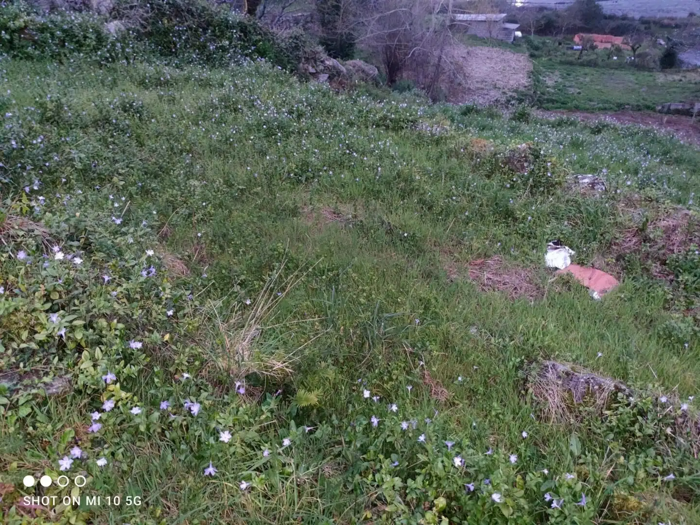 Lands and plots for sale in Soutomaior, imagen 5