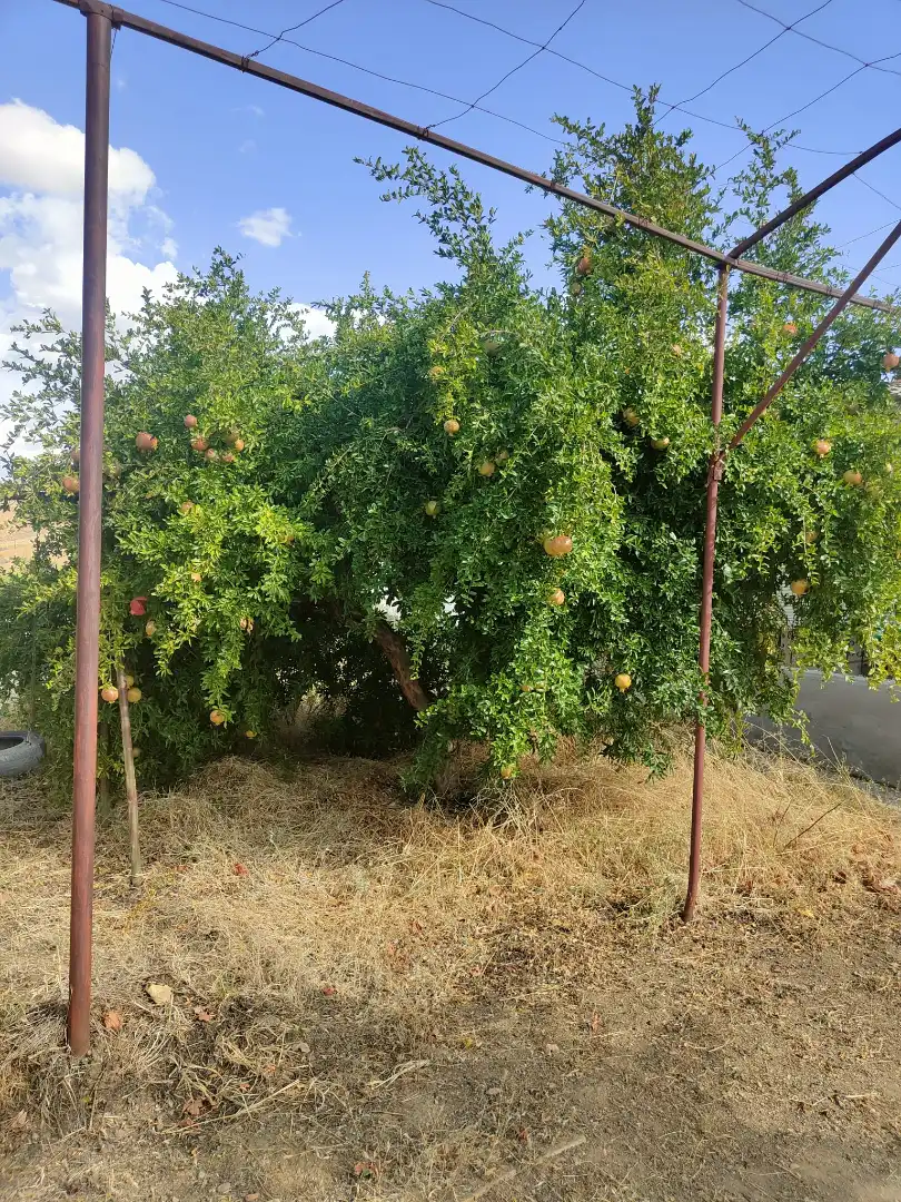 Finca rústica en venda en Cortes y Graena amb Jardí privat, Terrassa i Piscina
