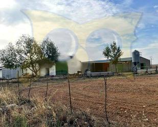 Industrial buildings for sale in Calvarrasa de Abajo