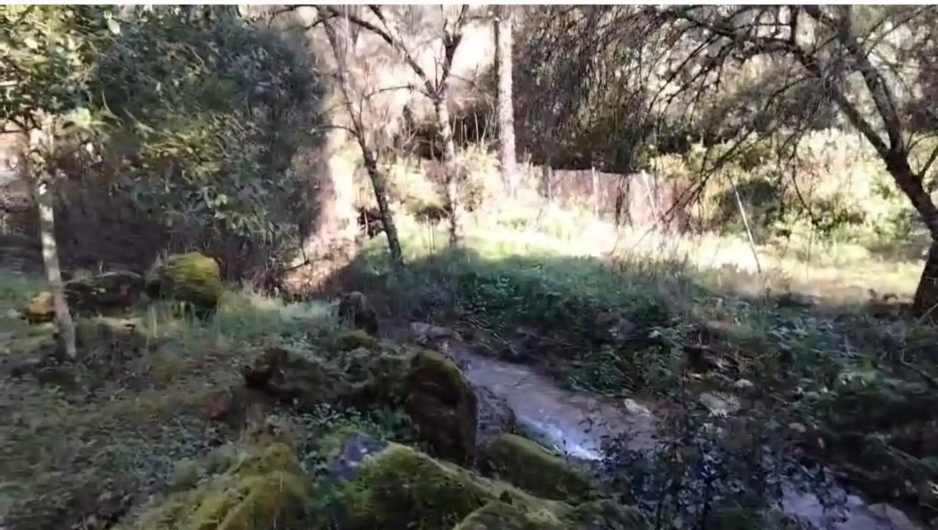 Finca rústica en venda en Córdoba amb Aire condicionat i Moblat